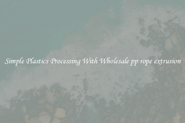 Simple Plastics Processing With Wholesale pp rope extrusion
