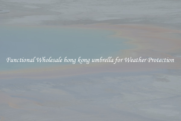 Functional Wholesale hong kong umbrella for Weather Protection 