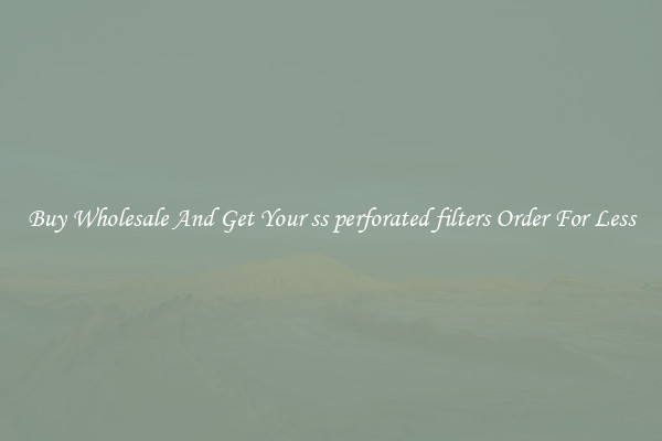 Buy Wholesale And Get Your ss perforated filters Order For Less