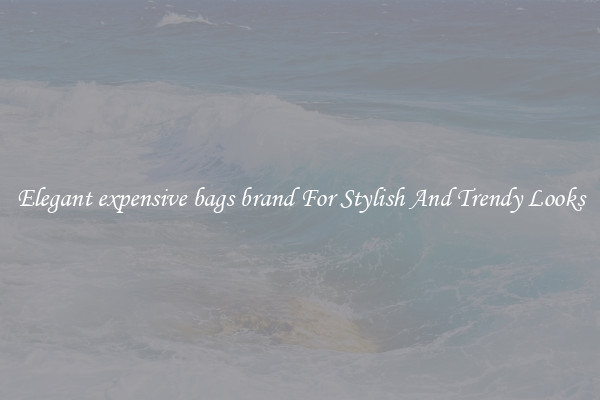 Elegant expensive bags brand For Stylish And Trendy Looks