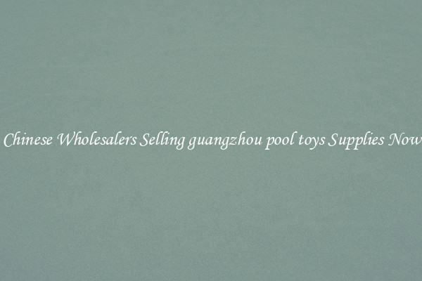 Chinese Wholesalers Selling guangzhou pool toys Supplies Now