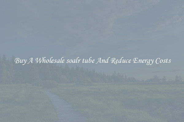Buy A Wholesale soalr tube And Reduce Energy Costs