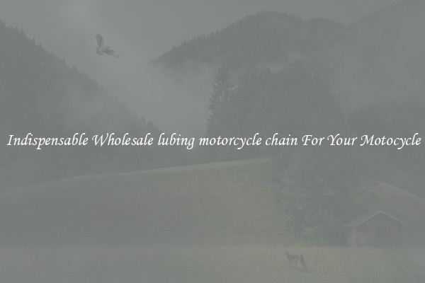 Indispensable Wholesale lubing motorcycle chain For Your Motocycle