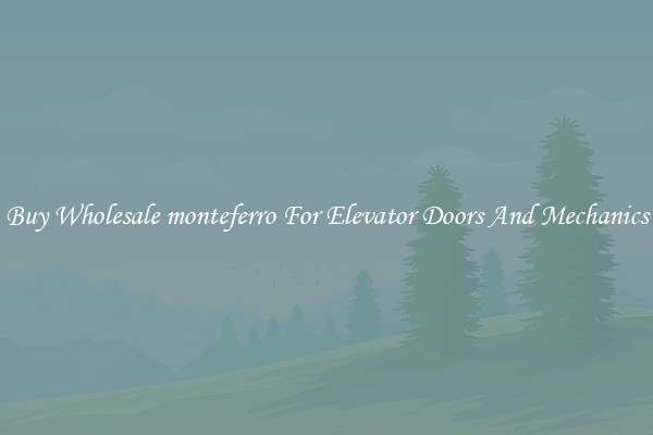 Buy Wholesale monteferro For Elevator Doors And Mechanics