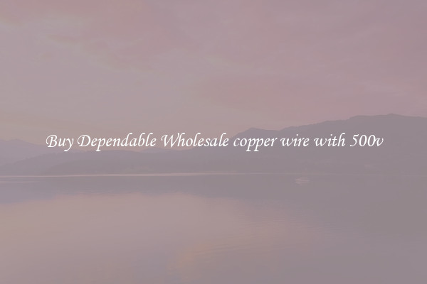Buy Dependable Wholesale copper wire with 500v