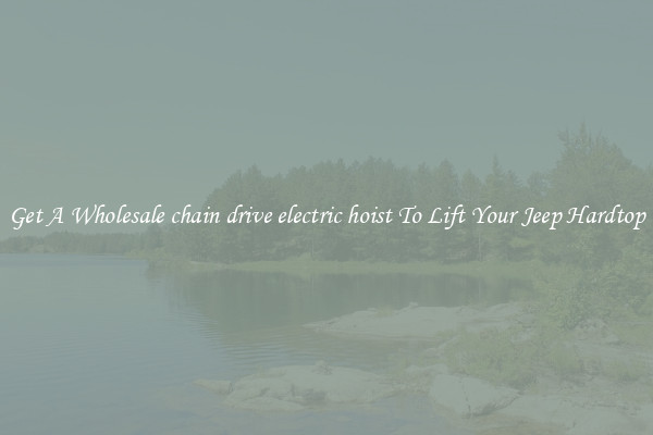 Get A Wholesale chain drive electric hoist To Lift Your Jeep Hardtop