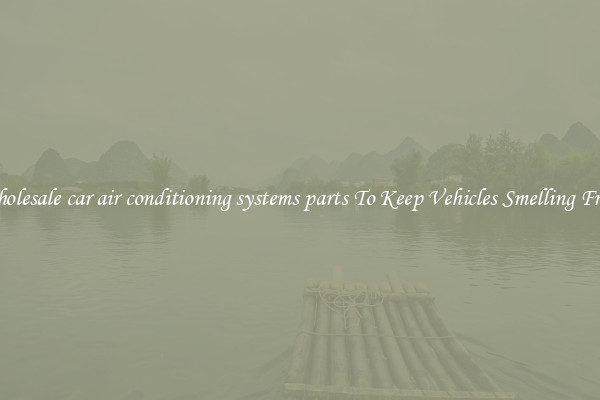 Wholesale car air conditioning systems parts To Keep Vehicles Smelling Fresh
