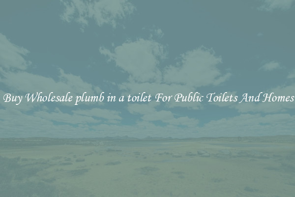 Buy Wholesale plumb in a toilet For Public Toilets And Homes