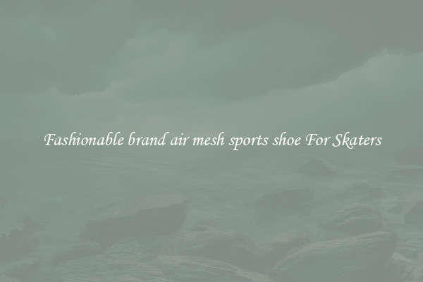 Fashionable brand air mesh sports shoe For Skaters