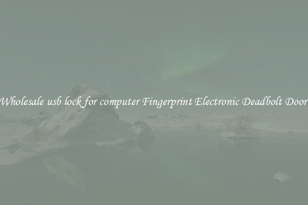 Wholesale usb lock for computer Fingerprint Electronic Deadbolt Door 