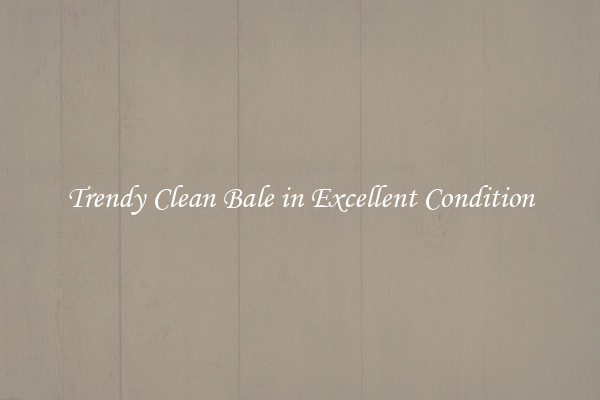 Trendy Clean Bale in Excellent Condition