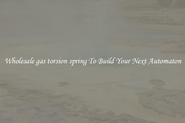 Wholesale gas torsion spring To Build Your Next Automaton