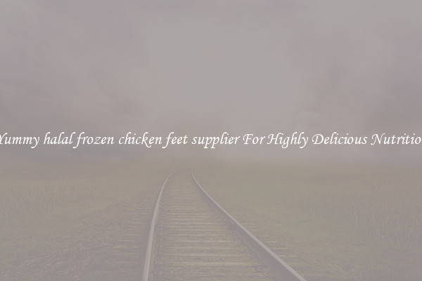 Yummy halal frozen chicken feet supplier For Highly Delicious Nutrition
