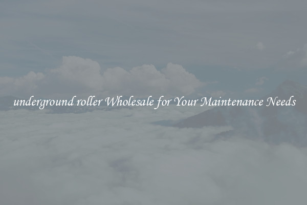 underground roller Wholesale for Your Maintenance Needs