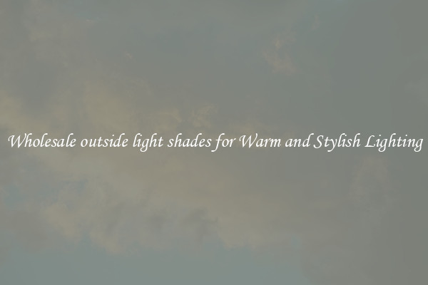 Wholesale outside light shades for Warm and Stylish Lighting