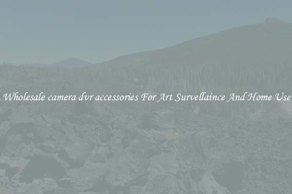 Wholesale camera dvr accessories For Art Survellaince And Home Use