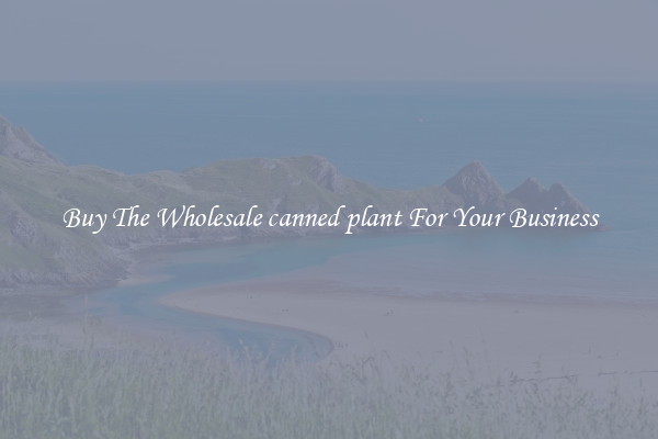  Buy The Wholesale canned plant For Your Business 