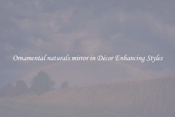 Ornamental naturals mirror in Décor Enhancing Styles