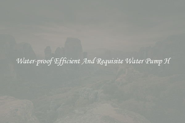Water-proof Efficient And Requisite Water Pump H