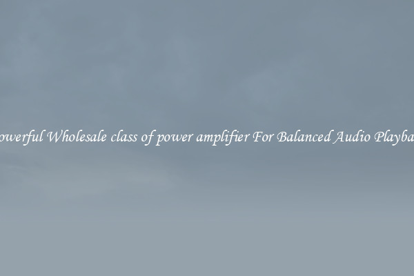 Powerful Wholesale class of power amplifier For Balanced Audio Playback