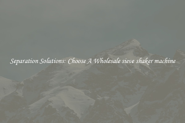 Separation Solutions: Choose A Wholesale sieve shaker machine