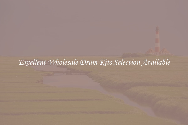 Excellent Wholesale Drum Kits Selection Available